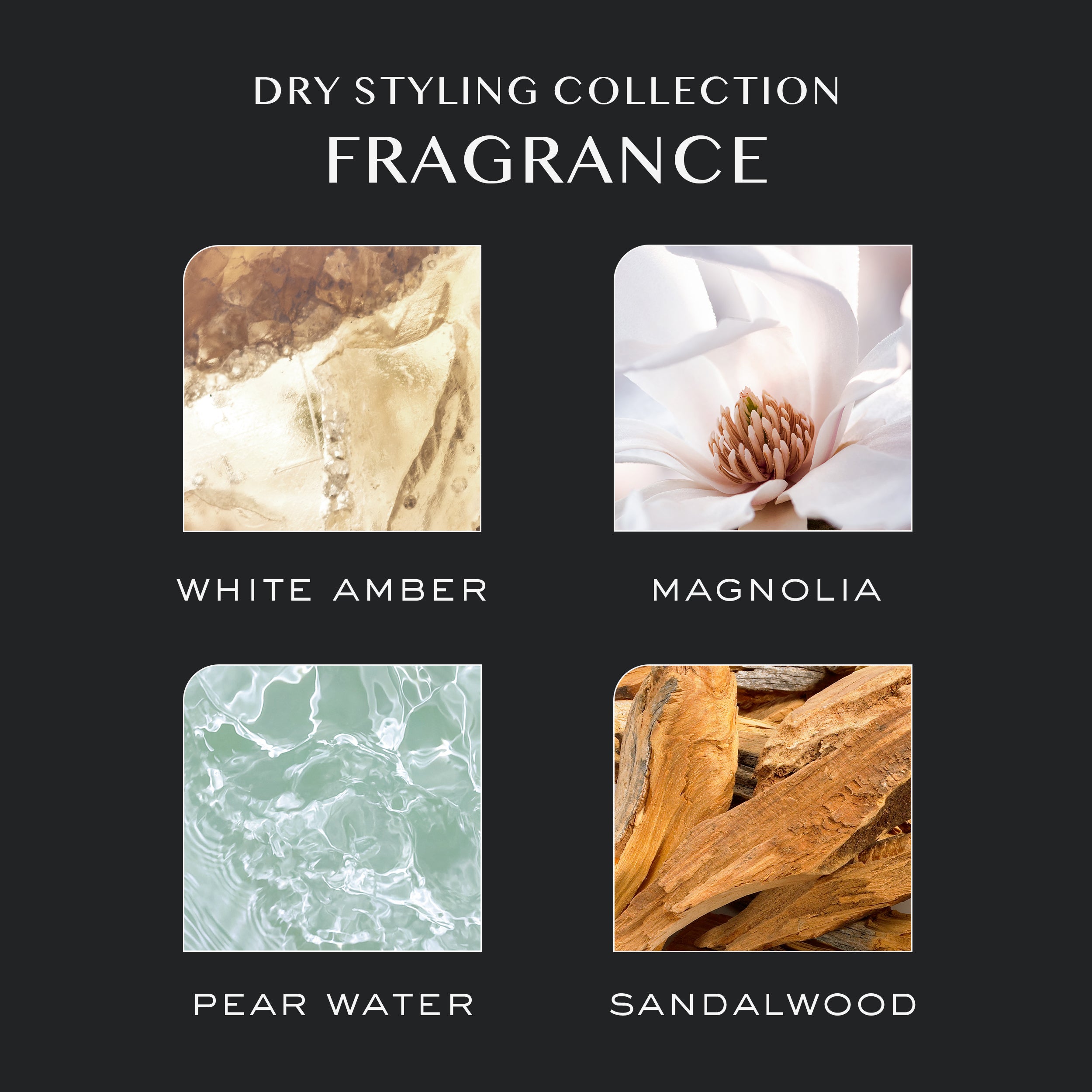 Dry Shampoo Powder