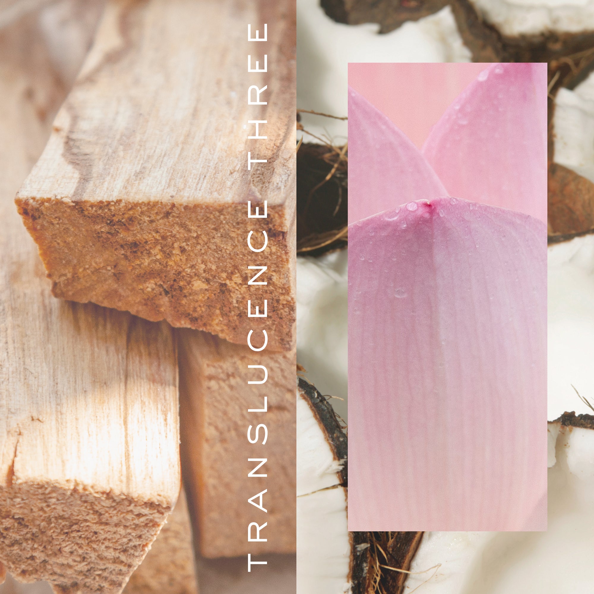 HAIR PERFUME